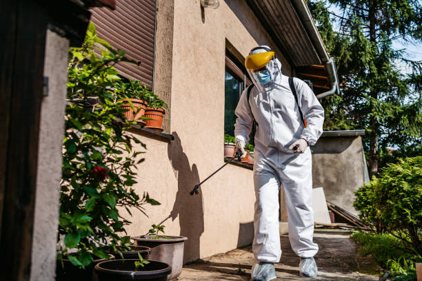 Best Pest Control Treatment  in Stem, NC