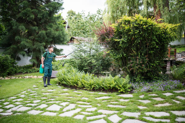 Best Mosquito Control Services  in Stem, NC