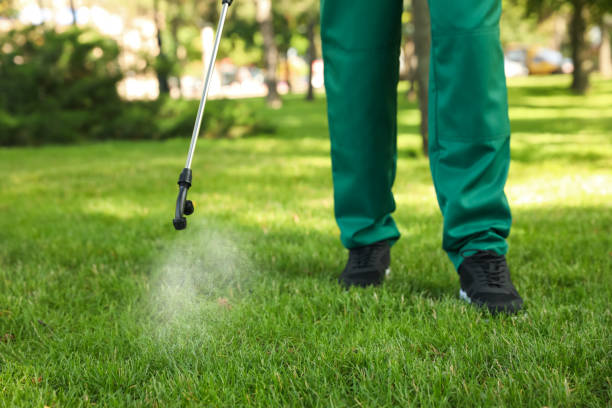 Best Wildlife Control Services  in Stem, NC