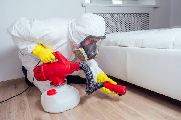 Professional Pest Control in Stem, NC