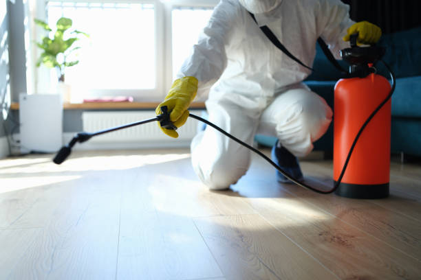 Flea Control Services in Stem, NC