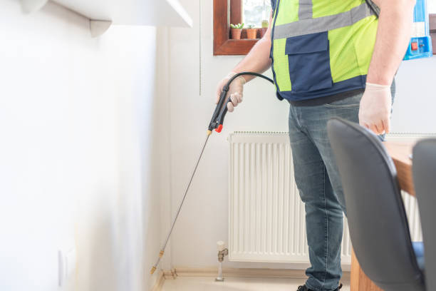 Best Local Pest Control Services  in Stem, NC