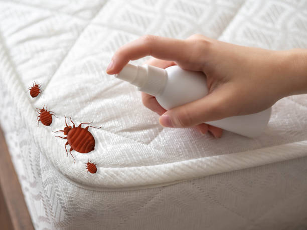 Best Cockroach Control Services  in Stem, NC