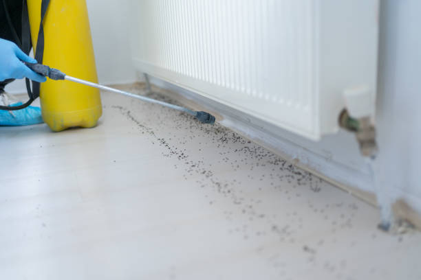 Best Pest Inspection Near Me  in Stem, NC